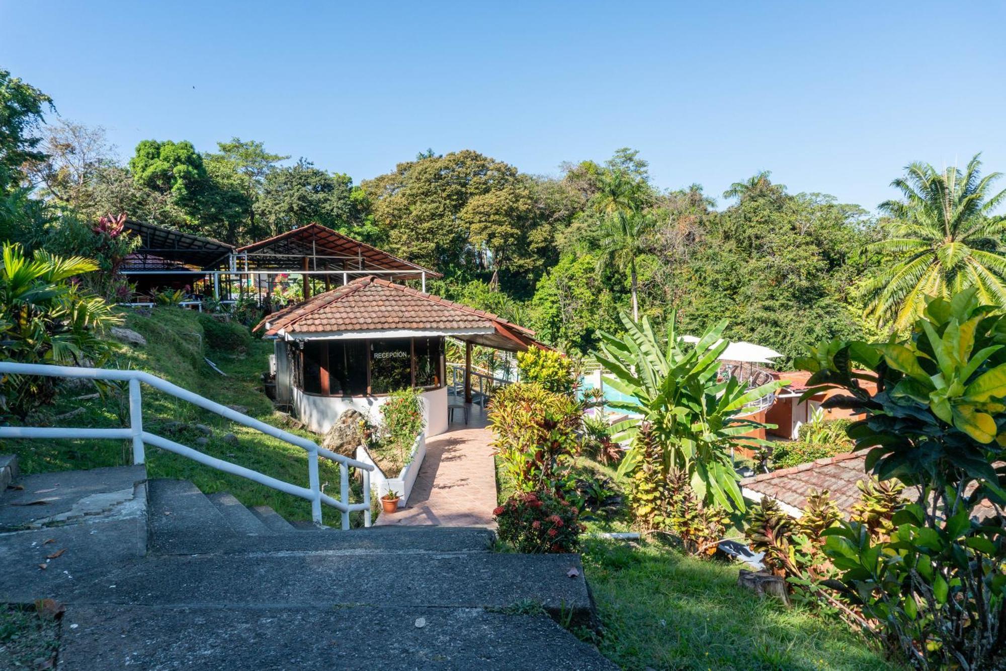 Bongo - Adults Only Hotel Manuel Antonio Exterior photo